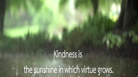 Kindness Quotes