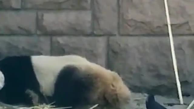 Hey wake up boy why are you so lazy...........