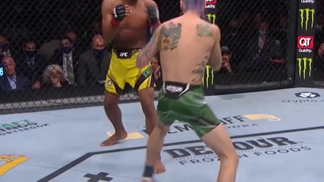 UFC Sean O’Malley Hype Video