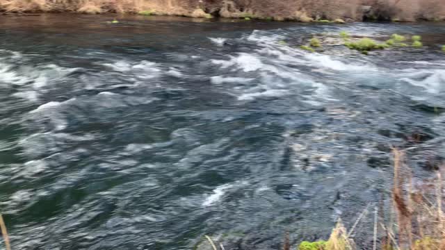 Admiring the National Wild & Scenic Metolius River – Central Oregon