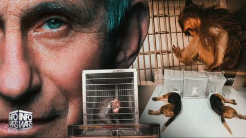 The War Room in Full HD for February 2, 2022.