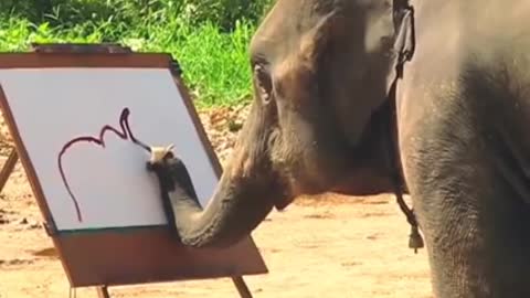 The best 🖊️ penting elephant 🐘