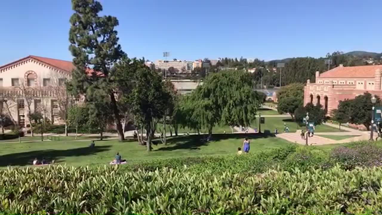 Return To UCLA II