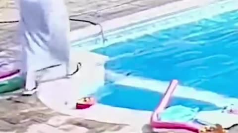 The end 😂😂😂 #viral #shorts #reels #fails #funny #fail