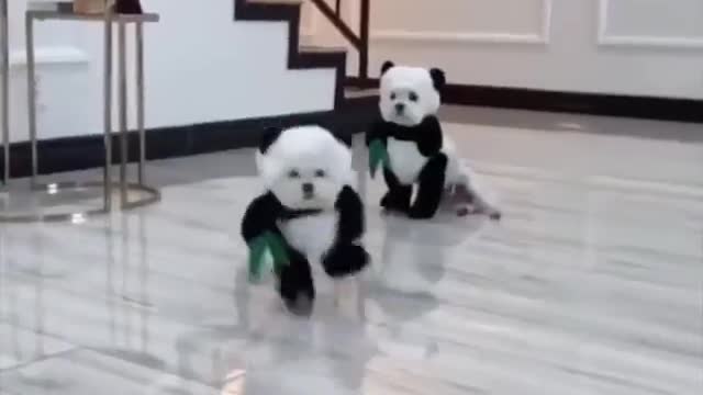 Pandamonium