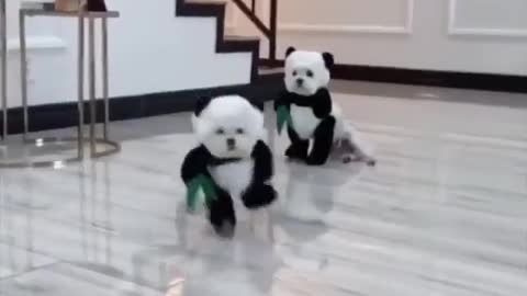 Pandamonium