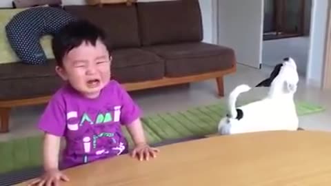 Try not to laugh **baby & dog in the house