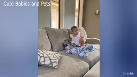 Cute babies and dogs.