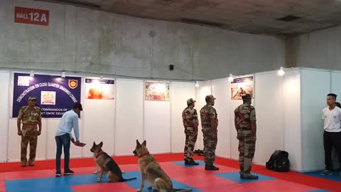 DOG SQUAD DEMONSTRATION/ TRAINING