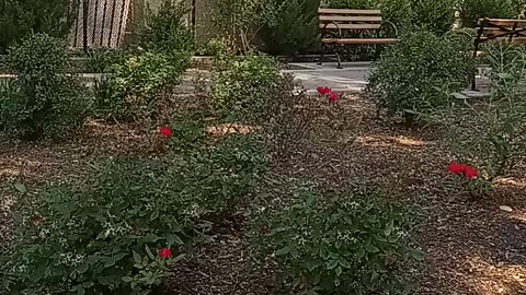 Woman forces Ex to buy food for her other children that aren't his