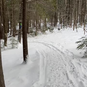 Plenty of small game here