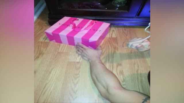 The Strangest Way To Catch A Mouse