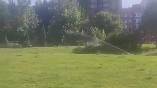 Beautiful scenery of nature