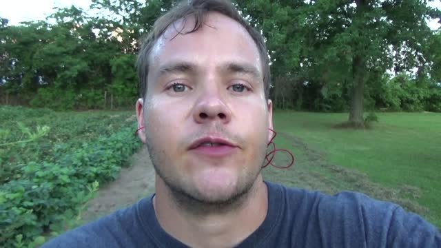 Great and Terrible Gardening s1e34 The Ultimate Garden Experience in Real Time