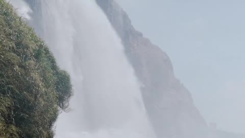 Nature video new