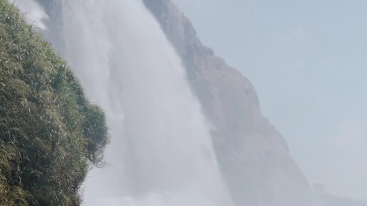 Nature video new