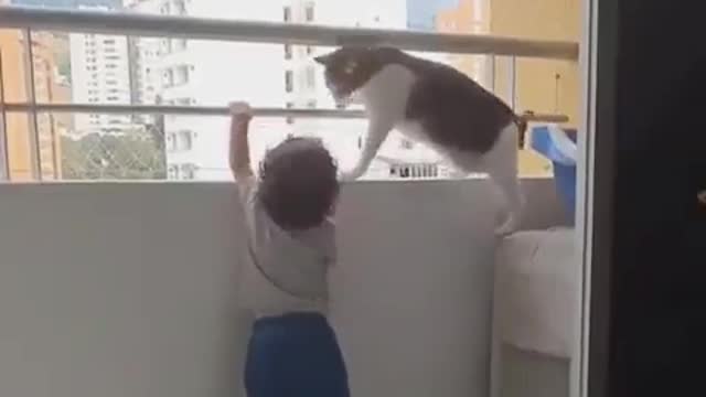 Cat trying to avoid the child to climb on bolcony grill