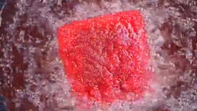 Mate no damn just no thats no sandwich thats