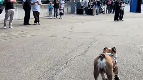 Skate moments