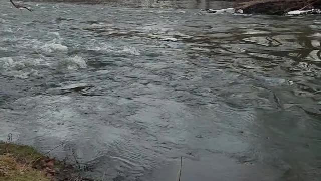 River in Alaska, MI - Natural White Noise