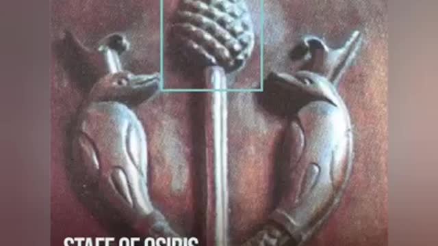 The pine cone symbol in religions caries...