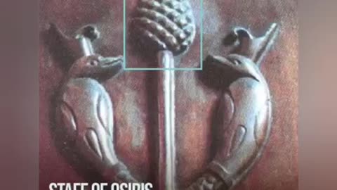 The pine cone symbol in religions caries...