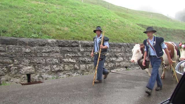 Swiss Farmers [Campesinos Suizos]