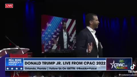 Don Jr on Liz Cheney