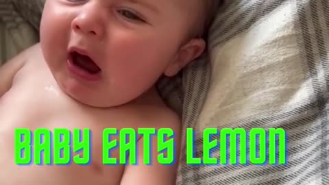 The Adorable Expressions of Babies When Fed Lemon