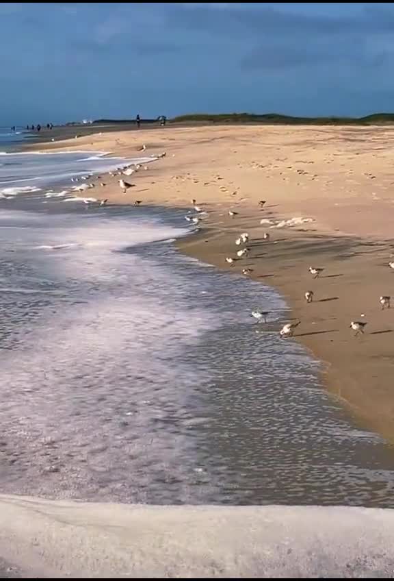 Never watched view in life