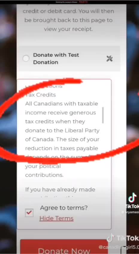 Who is this Queen Romana Didulo?