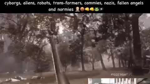 The normies are coming!