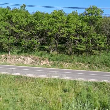 Seica Mare , intrare, radiatie radiofrecventa