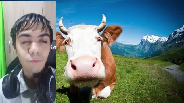 O GADOO TA LOCOOO