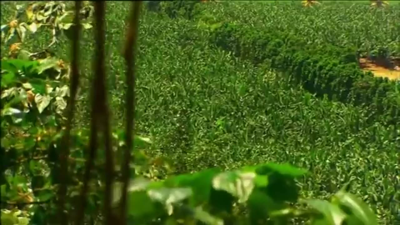 nông nghiệp thuận tự nhiên