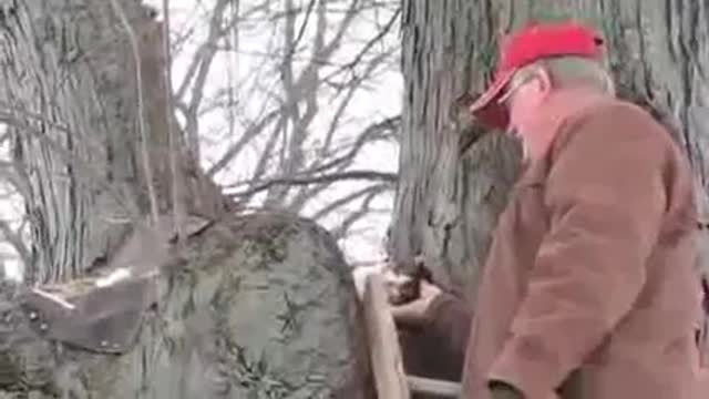 Funny Things _ Funny Videos _ funny videos ever in the world ,most funny