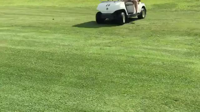 Guy falls out of golf cart