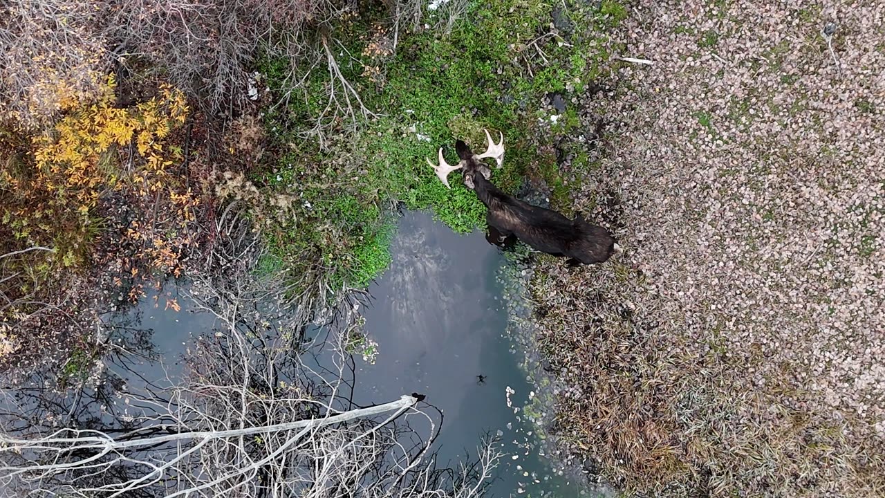 Ranching From the Eagles Eye