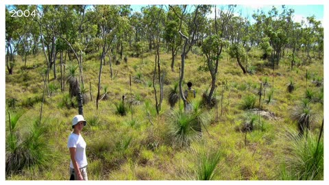 Impacts of Industrial Renewables in Queensland