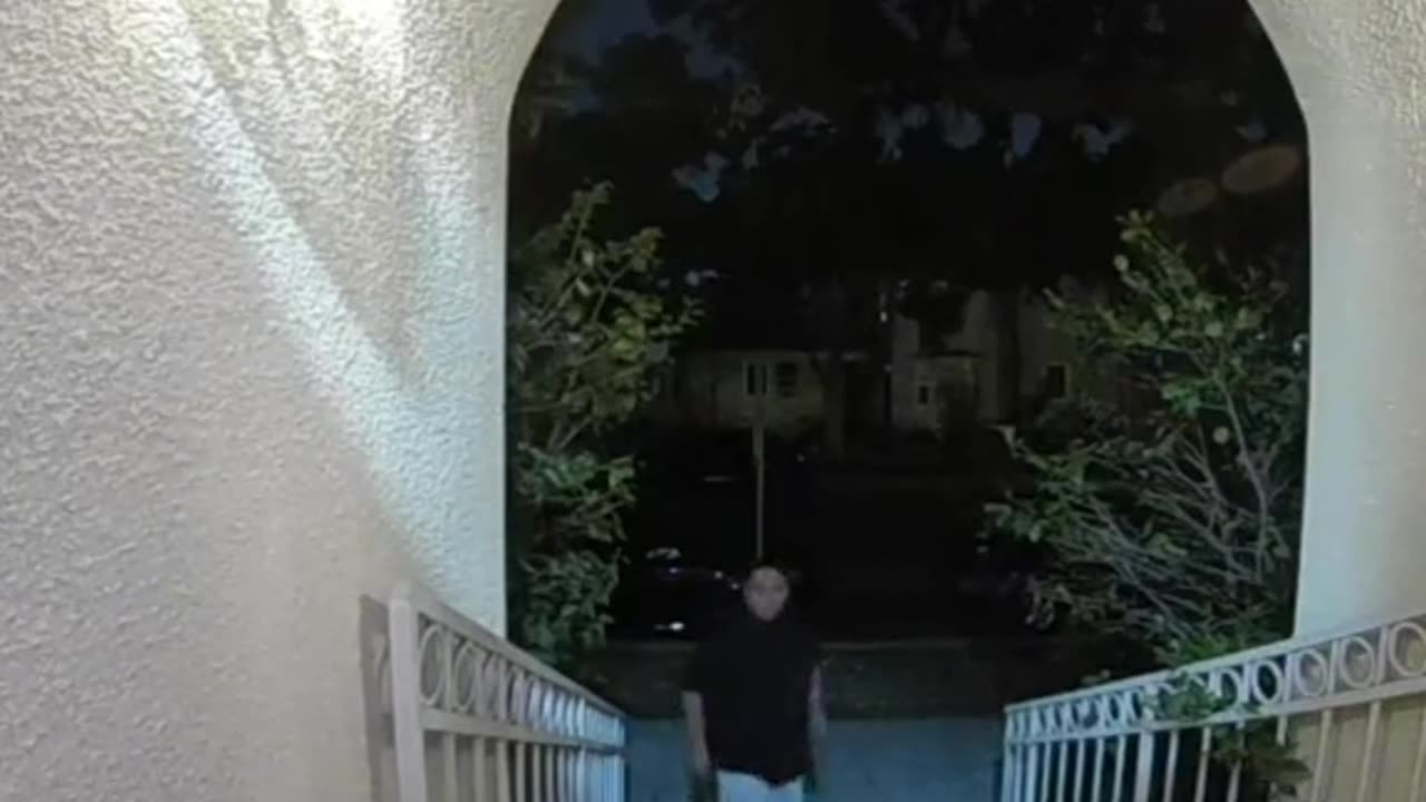 Thief