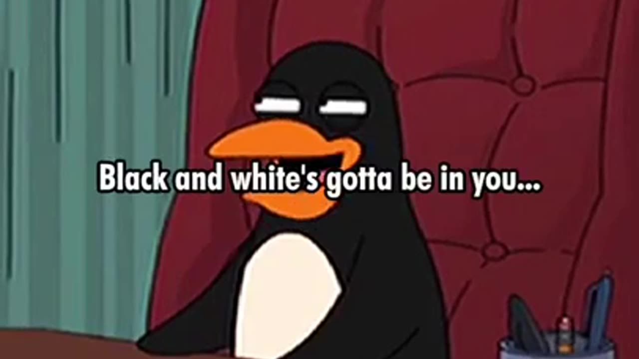 Sexual penguin 🐧🤣🤣