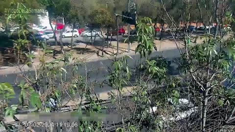 Casos Relevantes de la Semana del 5 al 11 de Febrero - C5 CDMX #VideoDeLaSemana