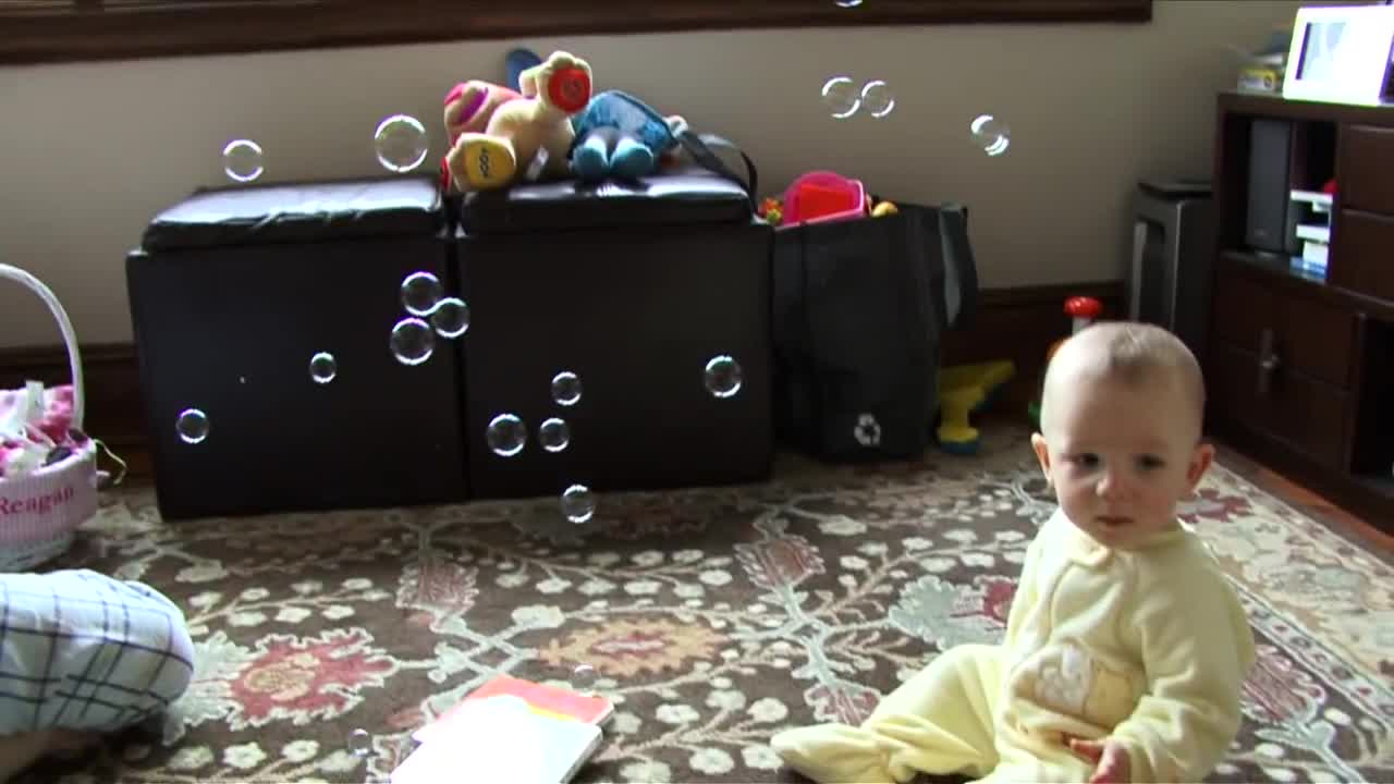 Baby and Chihuahua play with bubbles for the first time