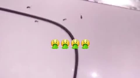 Stripper's Roach Infested Car