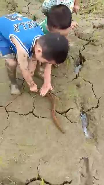 Best_Fishing_Caught_Cute_Baby_Funny_Video / Fishing Funny Video