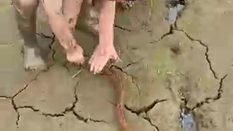 Best_Fishing_Caught_Cute_Baby_Funny_Video / Fishing Funny Video