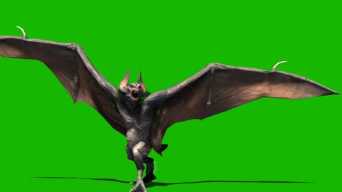 big bat animal keying composite display