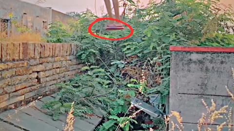Ye kya hai bhai 😵😵 #funny #viral #trending #comedy #ytshorts #shorts @Nooransarin ||
