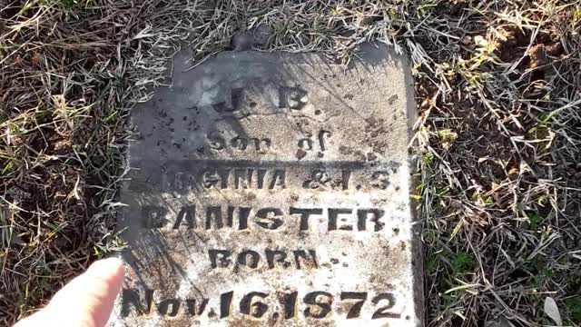 6 Babies with the Lord, a grave stone actually cracked by a tree.