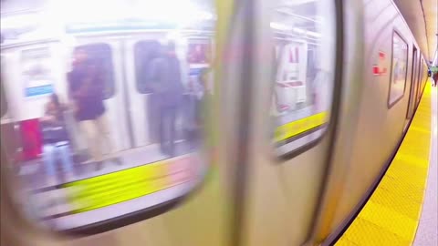 The train